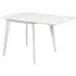 Riga Extendable Dining Table - White, Oak