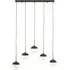 Rocklin 5-Light Cluster Pendant Light - Clear Glass, Black Metal
