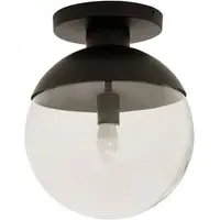 Rocklin Globe Ceiling Light - Clear Glass, Black Metal