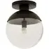 Rocklin Globe Ceiling Light - Clear Glass, Black Metal