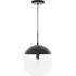 Rocklin Round Pendant Light - Clear Glass, Black Metal