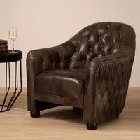 Sadalmelik Upholstered Armchair - Grey, Leather