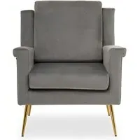 Salami Velvet Upholstered Armchair - Grey