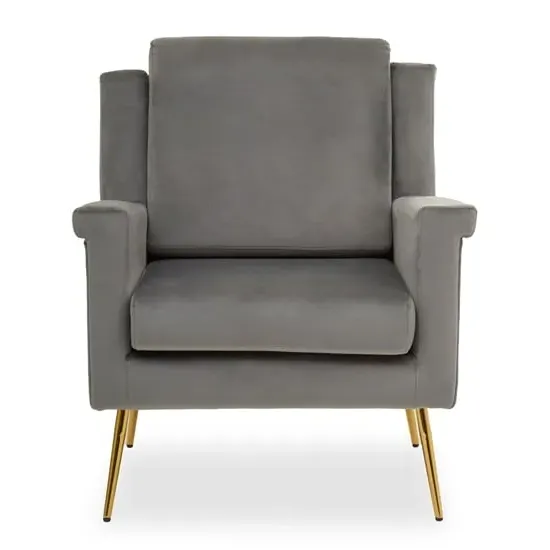 Salami Velvet Upholstered Armchair - Grey image