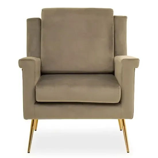 Salami Velvet Upholstered Armchair - Mink