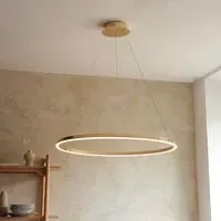 Salisbury Metal Pendant Ceiling Light - French Gold