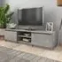 Saraid TV Stand with 2 Doors - Concrete Effect, Chipboard