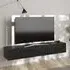 Sassari TV Stand with 1 Door - Anthracite, Wood
