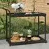 Selah 2-Shelf Drinks Trolley with Wheels - Black, Poly Rattan