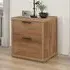 Seward Bedside Cabinet with 2 Drawers - Rustic Oak
