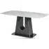 Shelby Rectangular Coffee Table - Binli White, Sintered Stone