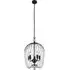 Shower 5 Light Crystal Ceiling Pendant Light - Black