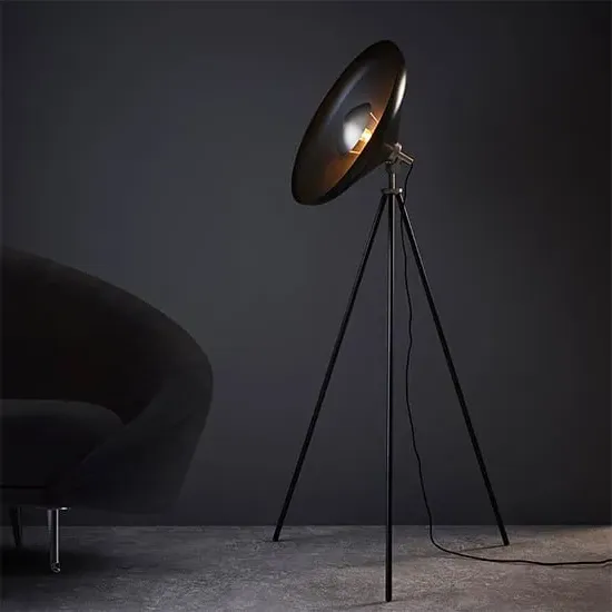Silvis Coned Floor Lamp with Adjustable Head - Black, Metal image