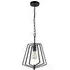 Slinky Wall Hung Adjustable 1 Pendant Light - Black, Metal