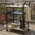 Solna 2-Tier Drinks Trolley with Wheels - Oak, Black Metal