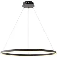Staten LED Pendant Light with Diffuser - Black, Steel