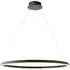 Staten LED Pendant Light with Diffuser - Black, Steel
