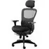 Stealth Shadow Ergo Office Chair with Headrest - Black