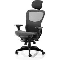 Stealth Shadow Ergo Office Chair with Headrest - Black
