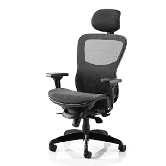 Stealth Shadow Ergo Office Chair with Headrest - Black