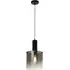 Sweden Smoked Ombre Glass Pendant Light - Black, Metal