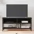 Tacey TV Stand with 2 Open Shelves - Black