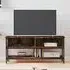 Tacey TV Stand with 2 Open Shelves - Smoked Oak