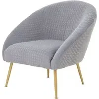 Tanya Velvet Occasional Chair with Gold Legs - Grey