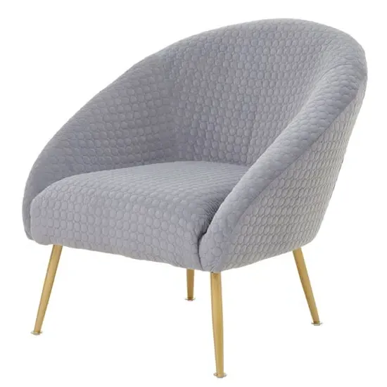 Tanya Velvet Occasional Chair with Gold Legs - Grey