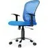 Tarvin Mesh Office Chair with Lumbar Support - Blue, Fabric