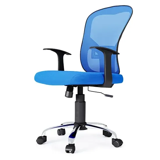 Tarvin Mesh Office Chair with Lumbar Support - Blue, Fabric