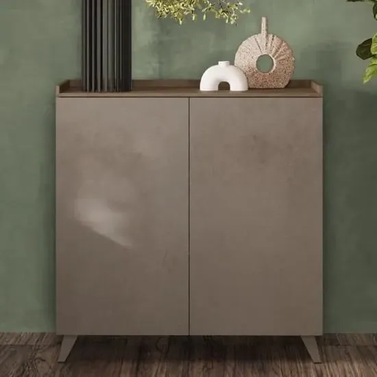 Tavira 2 Door Storage Cabinet - Dark Oak, Bronze image