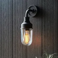 Texarkana Clear Glass Shade Outdoor Wall Light - Matt Black