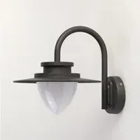 Texas Outdoor Wall Light - Graphite, Glass