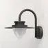 Texas Outdoor Wall Light - Graphite, Glass
