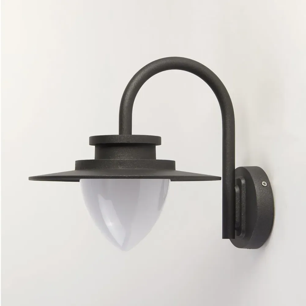 Texas Outdoor Wall Light - Graphite, Glass image