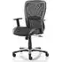 Victor II Executive Office Chair with Arms - Black, Leather