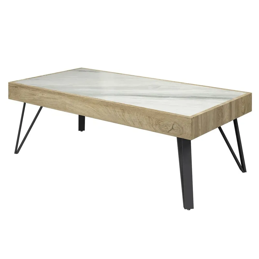 Vinita Sintered Stone Coffee Table - White, Oak
