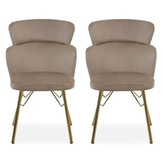 Vinita Upholstered Bedroom Chair - Mink, Velvet