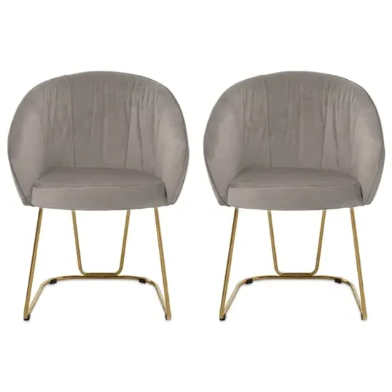 Vinita Upholstered Dining Chair - Mink, Velvet