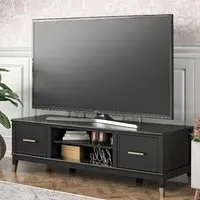 Wantagh TV Stand with 2 Doors - Black, Wood
