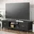 Wantagh TV Stand with 2 Doors - Black, Wood
