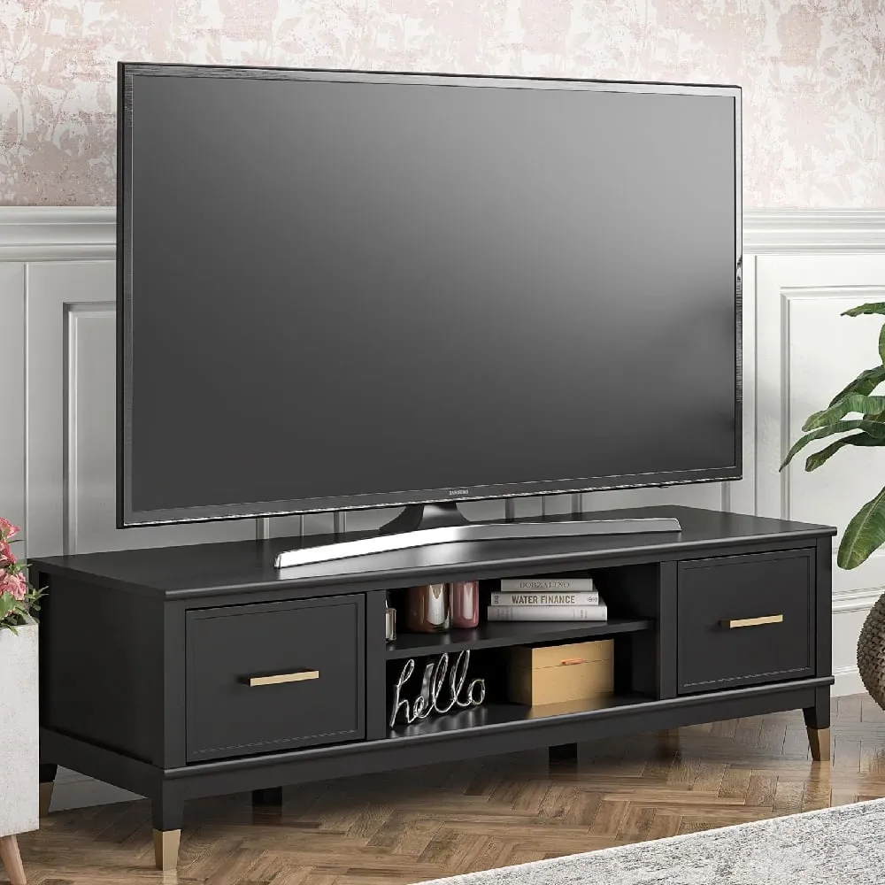 Wantagh TV Stand with 2 Doors - Black, Wood image