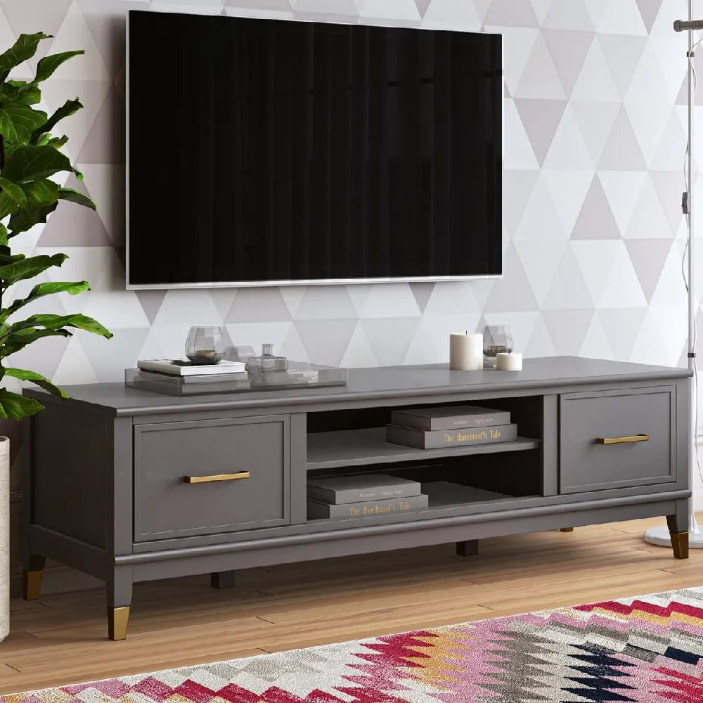 Wantagh TV Stand with 2 Doors - Grey, Wood