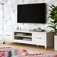 Wantagh TV Stand with 2 Doors - White, Wood