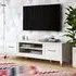 Wantagh TV Stand with 2 Doors - White, Wood