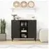 Wealden Storage Cabinet with 2 Doors - Black, Mango Wood
