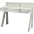 Zanbury Computer Desk with 2 Drawers - White, Pine