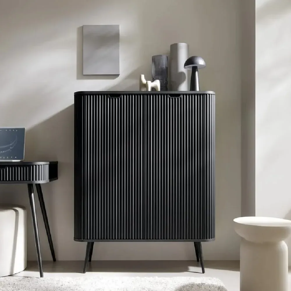 Zebulon Storage Cabinet with 2 Doors - Black image