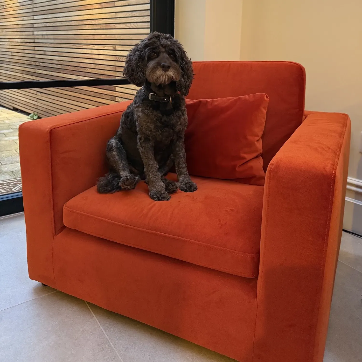 Hudson Dog Sofa Bed - Burnt Orange, Velvet alternate view